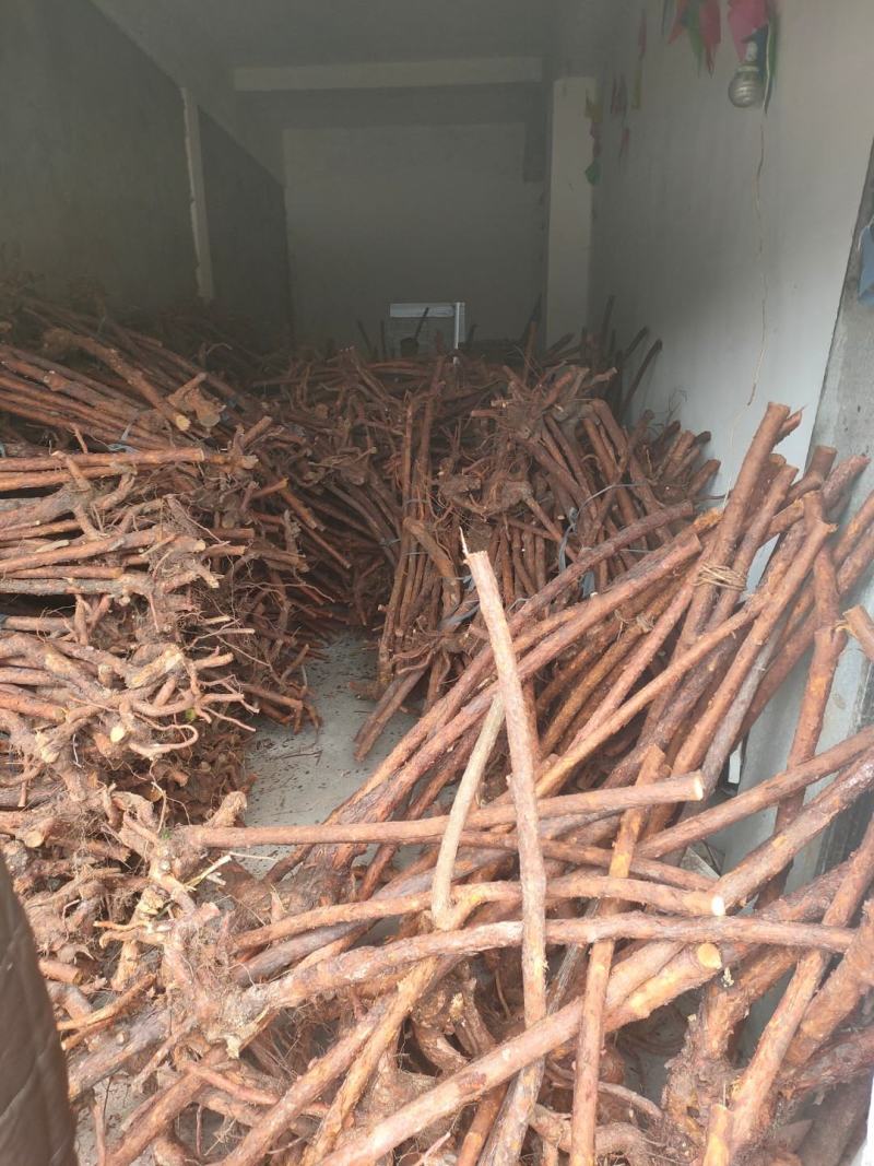 三木香下山桩有需要的朋友一手货源质优价廉联系我