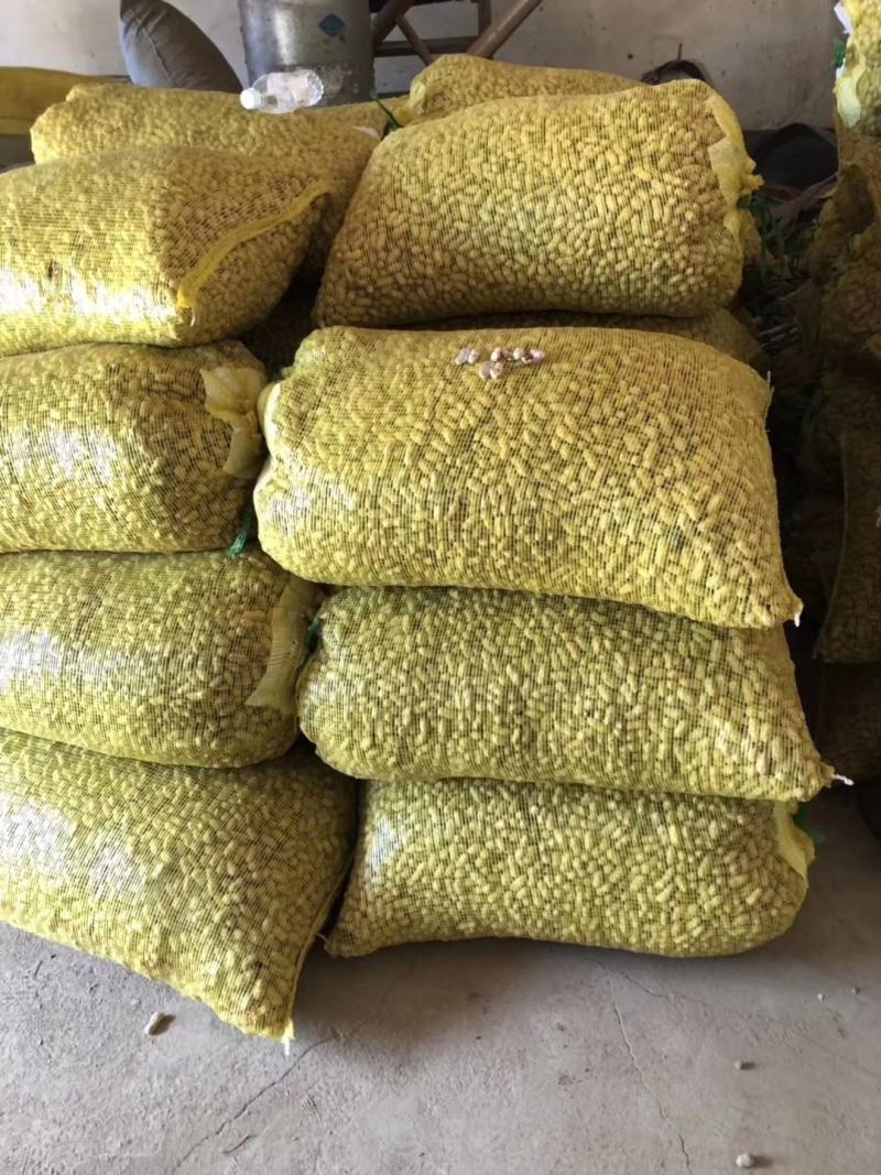 河南鲜花生罗汉果花生，工厂货，市场，电商一手货源