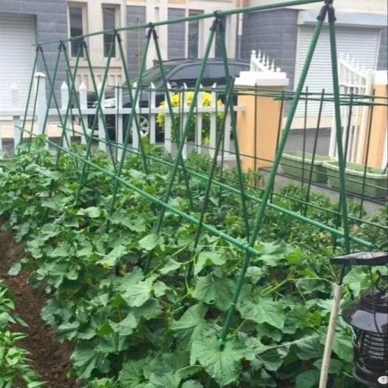 葡萄避雨棚，果苗定值杆，拱棚杆等各种规格定制