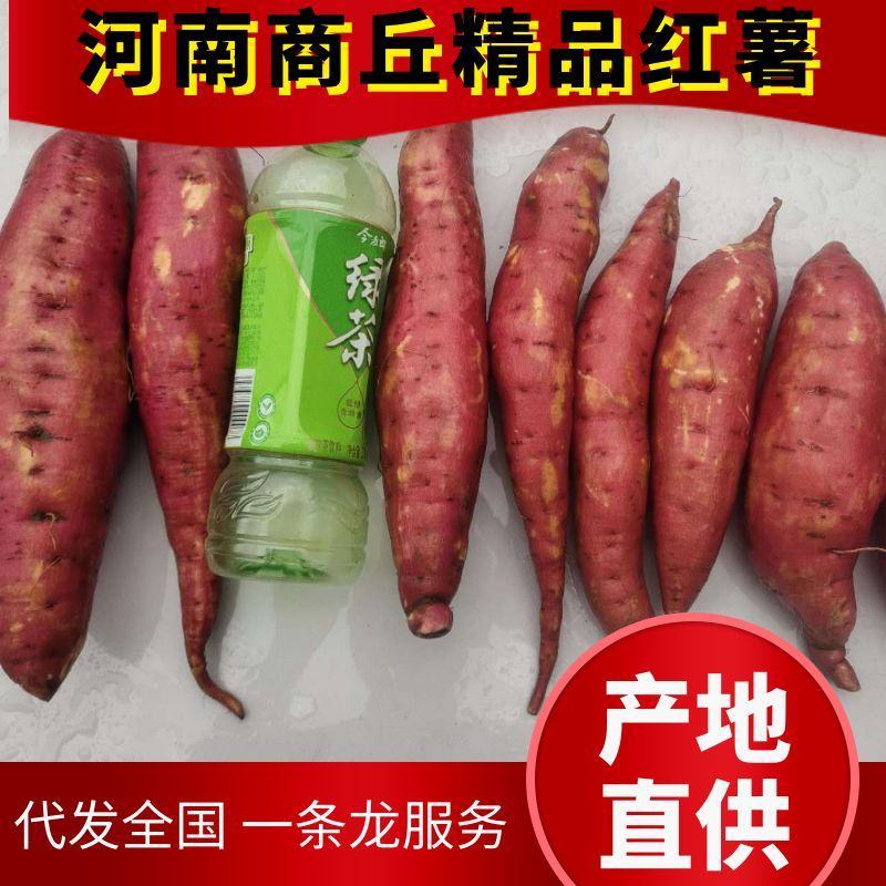 供货西瓜红红薯产地直供，质量保证，交通便利，可供全国商超