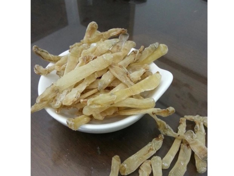 沙虫干(足干北海小号沙虫)一件代发