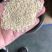 一级脱皮芝麻仁，做食品，做烧饼，干净无杂质