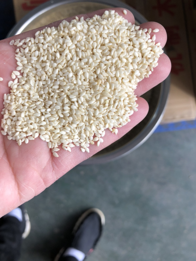 一级脱皮芝麻仁，做食品，做烧饼，干净无杂质
