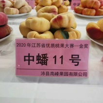 蟠桃桃树苗，口感脆甜，丰产量高，全面技术指导