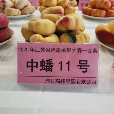 蟠桃桃树苗，口感脆甜，丰产量高，全面技术指导