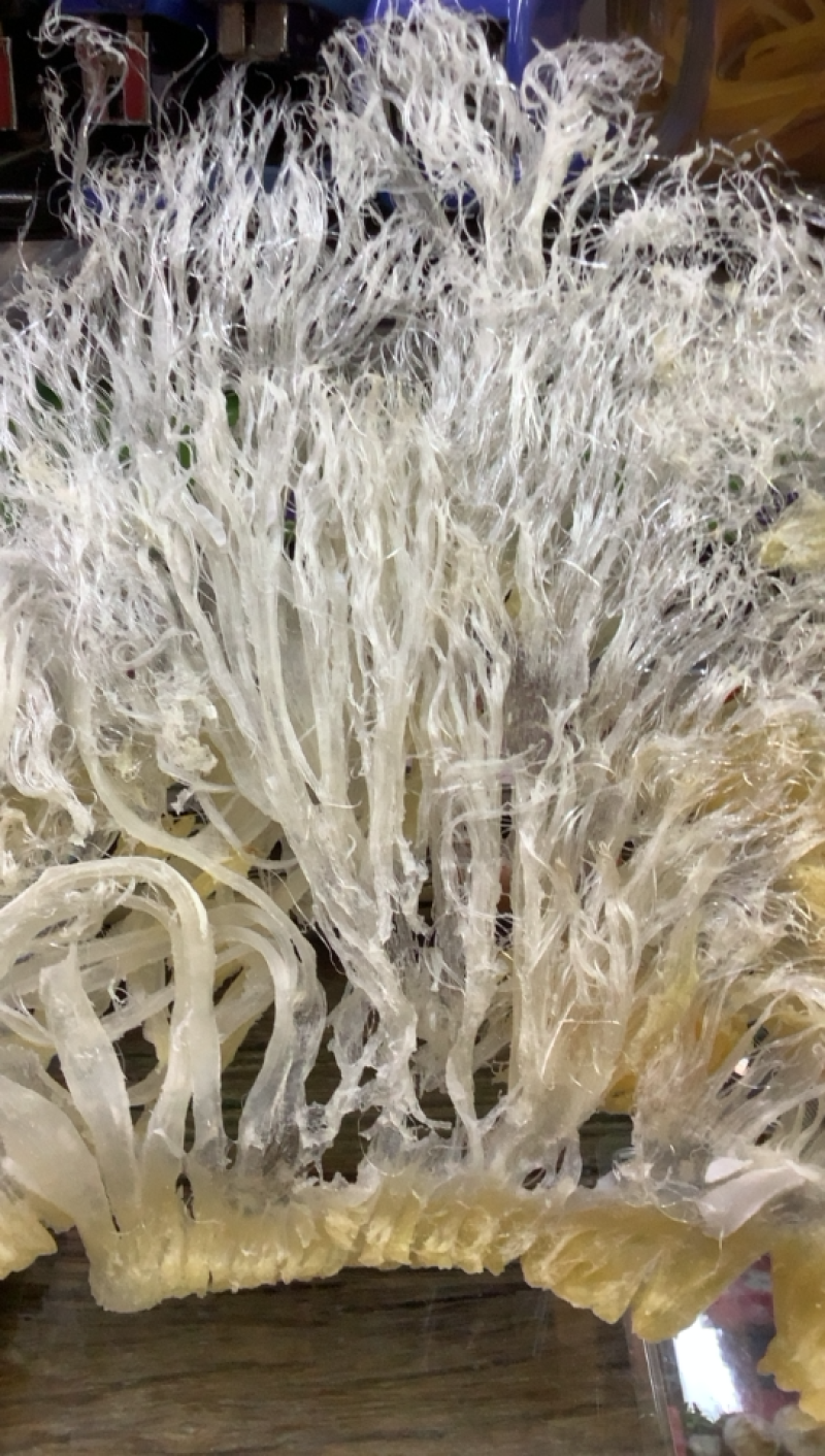 大菊花鱼翅（送礼佳品