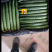 精品黄瓜，天天新鲜货，大量现货