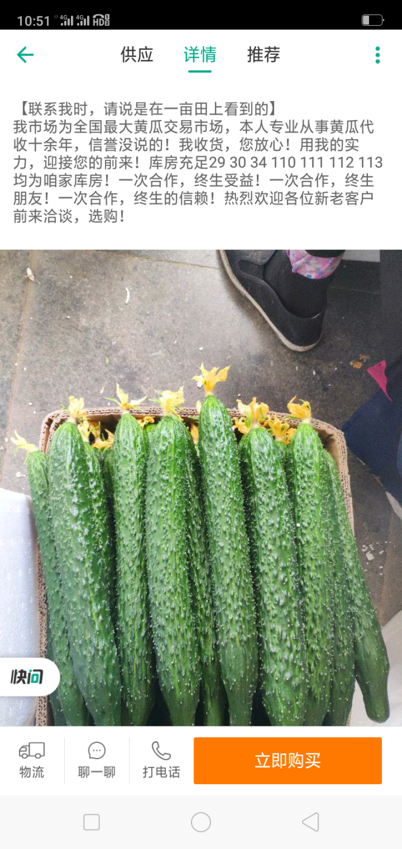精品黄瓜，天天新鲜货，大量现货