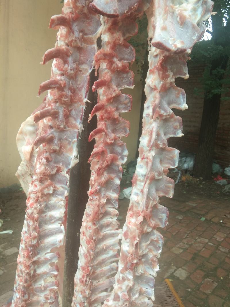 新鲜羊大梁骨，羊棒骨厂家直销，，，，，，，