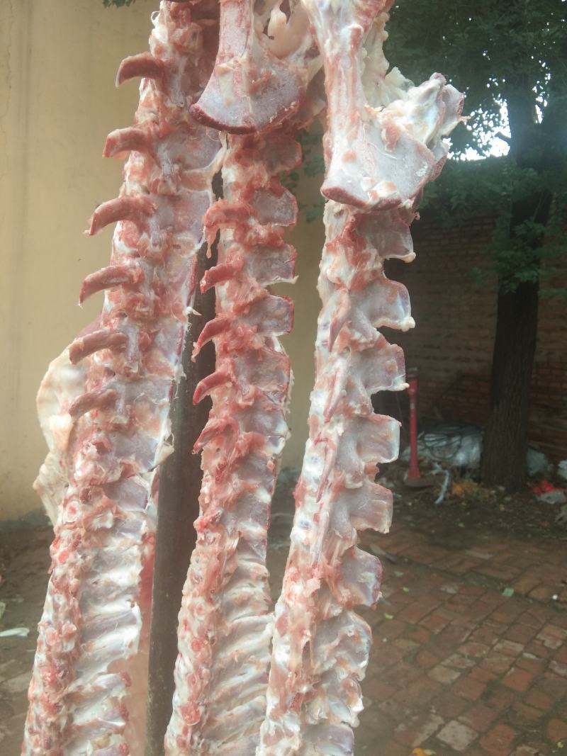 新鲜羊大梁骨，羊棒骨厂家直销，，，，，，，