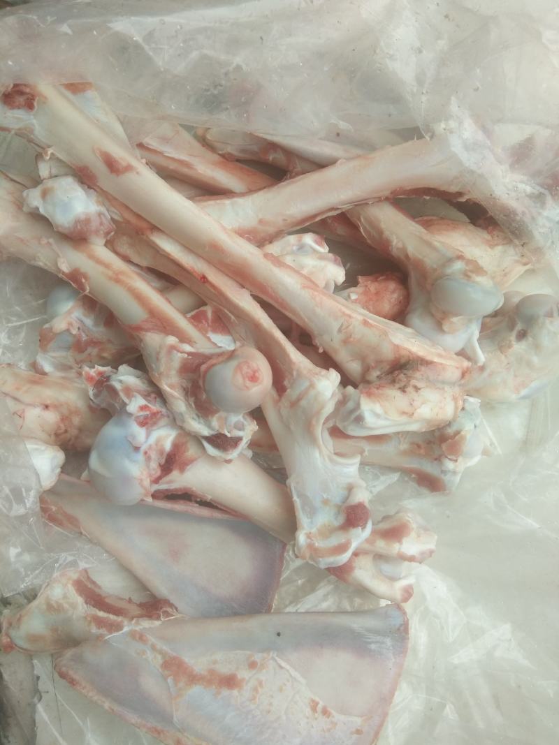 新鲜羊棒骨羊棒骨羊棒骨羊棒骨！！！！！！