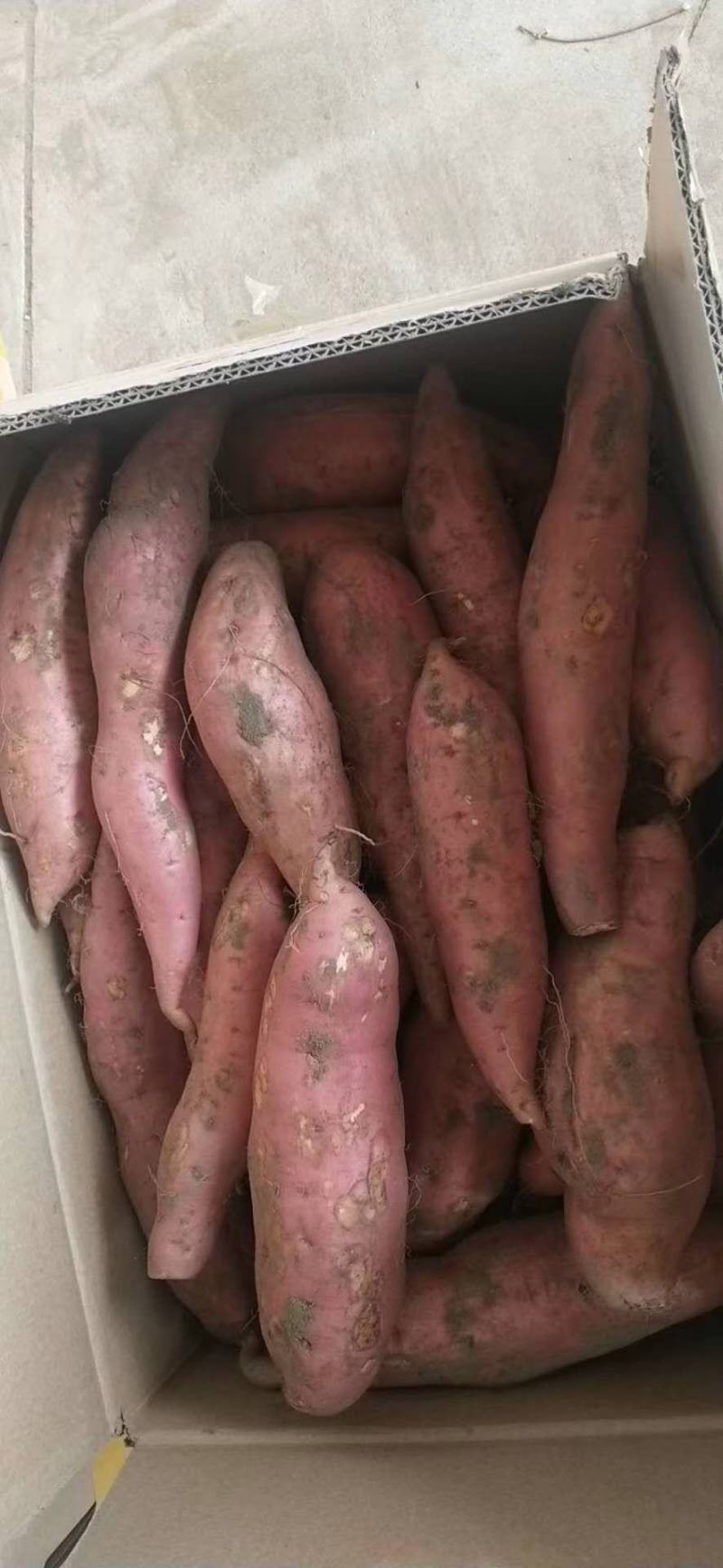 烟蜜薯口感软糯甜烤块中块，小薯