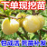 【精选】恐龙蛋李子苗美国杏李苗味帝李子苗规格齐全