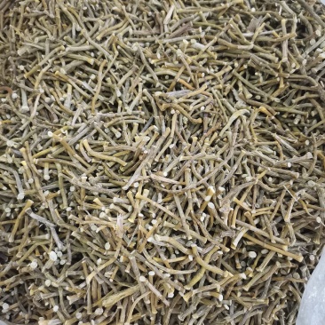 【产地直销】云南铁皮石斛可打粉包邮支持一件代发