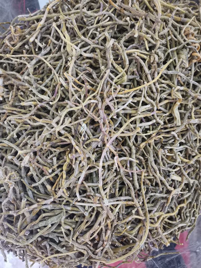 【产地直销】云南铁皮石斛可打粉包邮支持一件代发