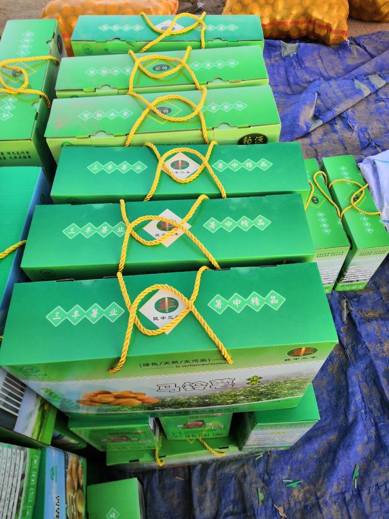 纯土豆粉条，自己加工，绿色产品