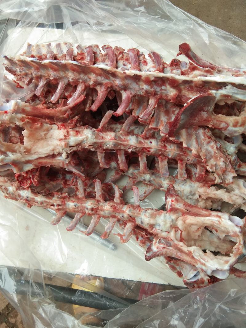 新鲜羊大梁骨，羊棒骨厂家直销，，，，，，，