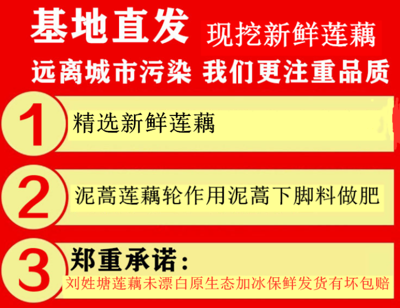 刘姓塘莲藕纯中段煲汤用保鲜盒加冰保鲜发货全国包邮