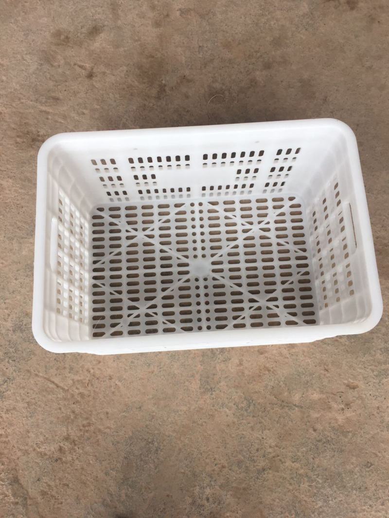 猕猴桃筐，李子筐，橙子筐，周转筐，耐摔耐撞，全新料制造