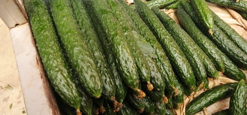 黄瓜，茄子便宜了，全是精品，量大从优