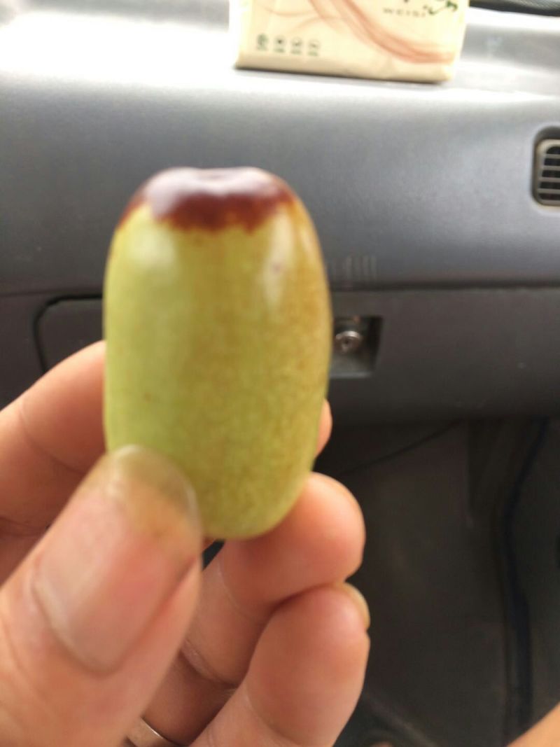 大量出售:贵妃枣需要的联系我