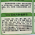 【优质】耐热耐湿抗病高产一代杂交青梗菜种子绿如意2号