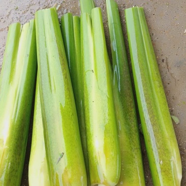 冷水茭白