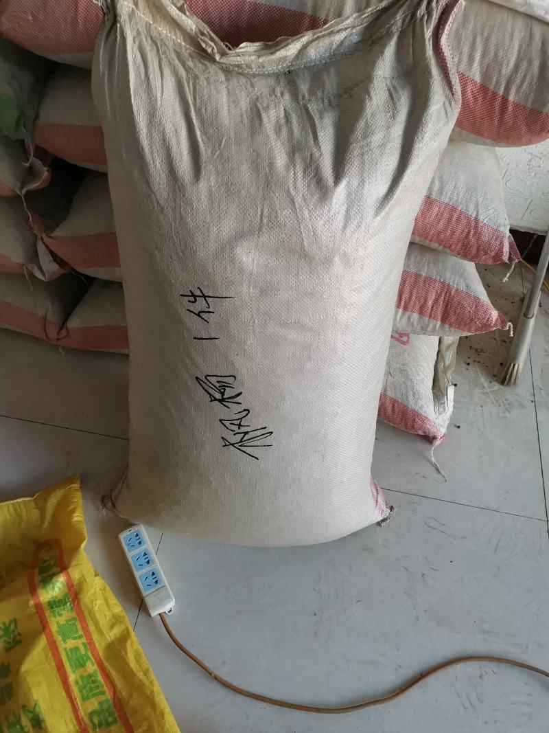 产地油麻藤种子河北亿利种业拳头产品，质量好才是硬道理。