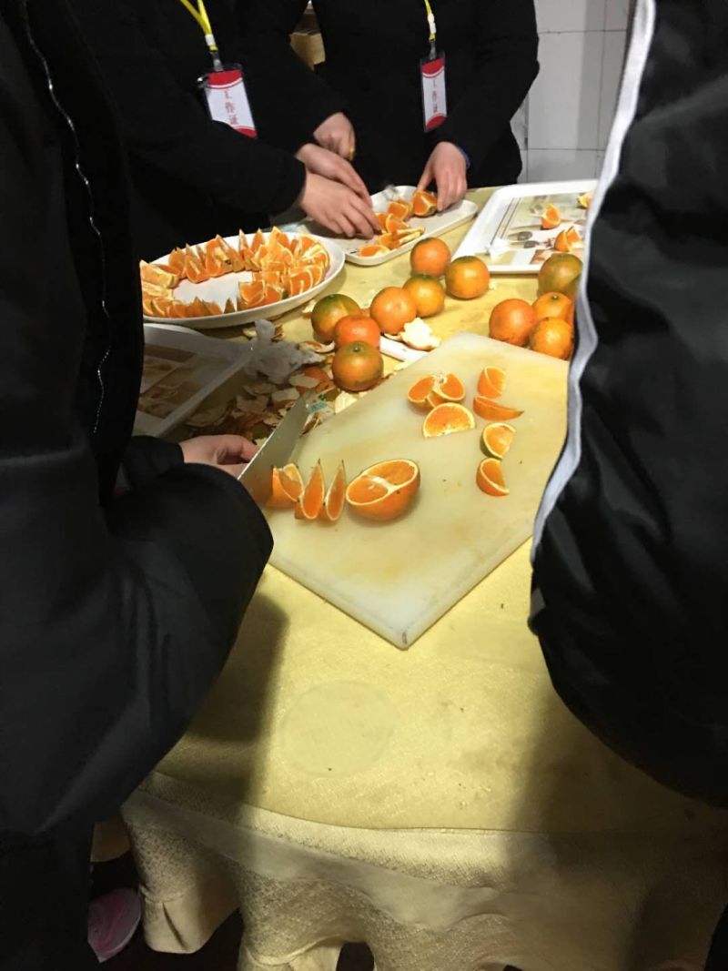 柑橘枝条新品明日见红美人耙耙柑爱媛38血橙沃柑