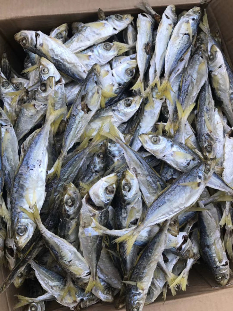东山本港黄尾巴浪鱼干批发巴郎鱼干即食鱼干