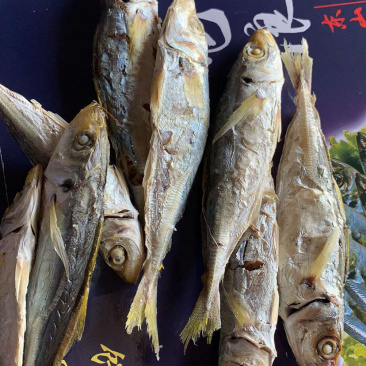 东山本港黄尾巴浪鱼干批发巴郎鱼干即食鱼干