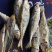 东山本港黄尾巴浪鱼干批发巴郎鱼干即食鱼干