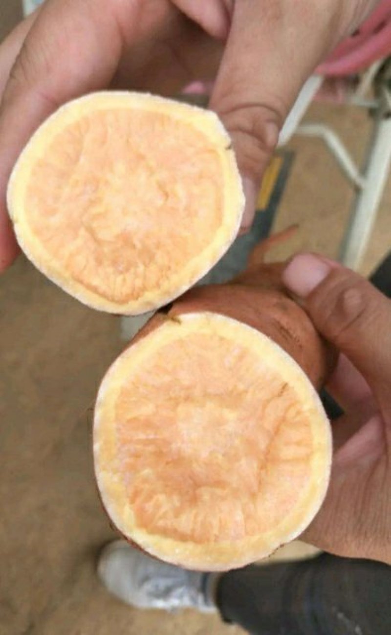 红薯