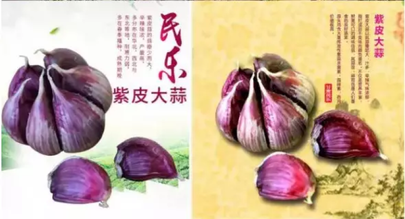 甘肃民乐紫皮香蒜