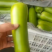 精品瓠子大量上市，供应商超市场批发，量大质量优，