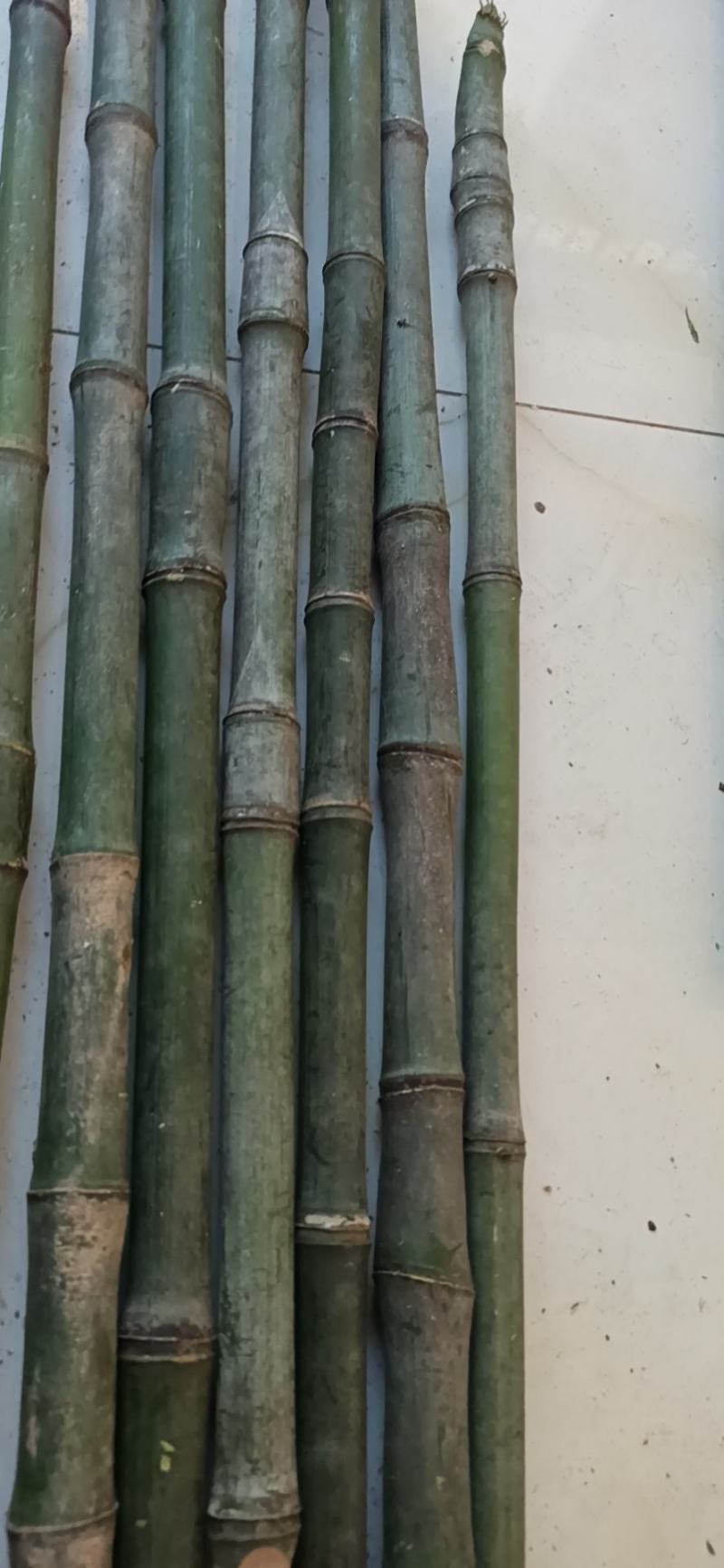 大量实心竹各种规格都有产地直发一手货源老料