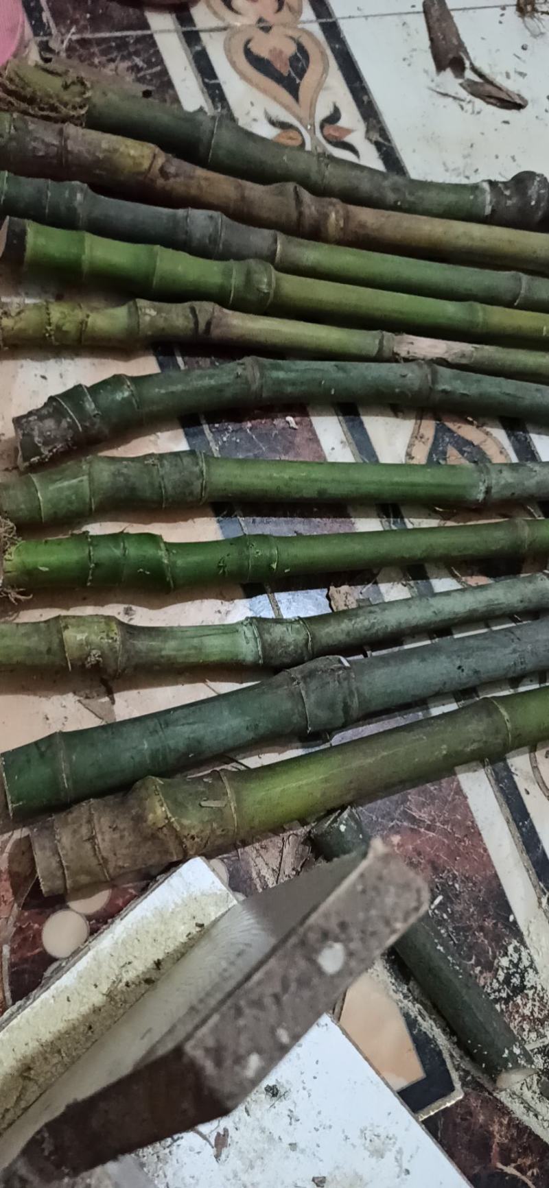 大量实心竹各种规格都有产地直发一手货源老料