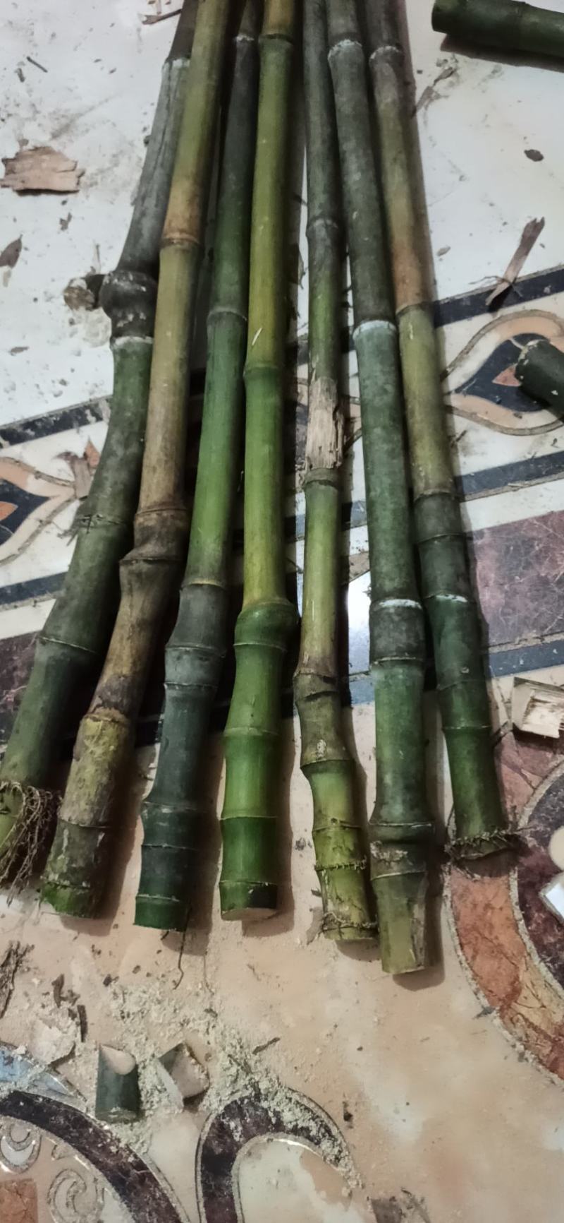 大量实心竹各种规格都有产地直发一手货源老料