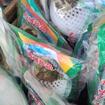 天山雪莲花新疆雪莲花天山雪莲雪莲花泡酒雪莲花茶超大朵正品