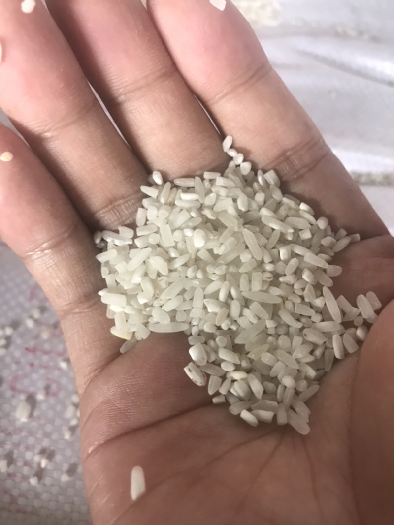 缅甸中上碎米酿酒加工等原料
