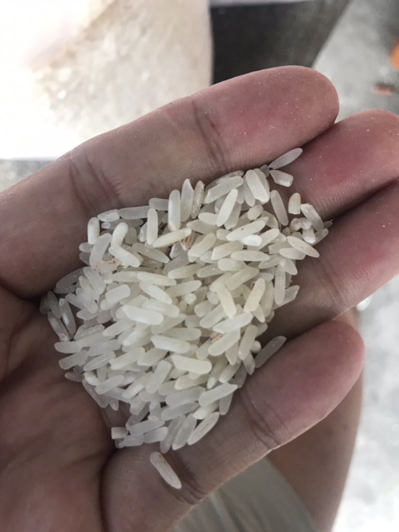 缅甸中上碎米酿酒加工等原料