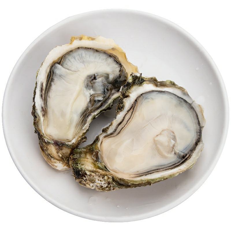 三倍体鲜活福建生蚝牡蛎海鲜餐饮生鲜食材源产地发货直销