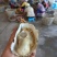 三倍体鲜活福建生蚝牡蛎海鲜餐饮生鲜食材源产地发货直销