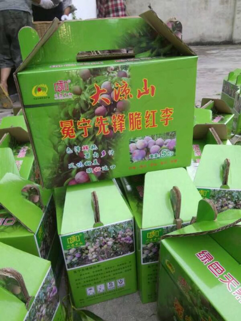 四川大凉山脱骨脆红李子
