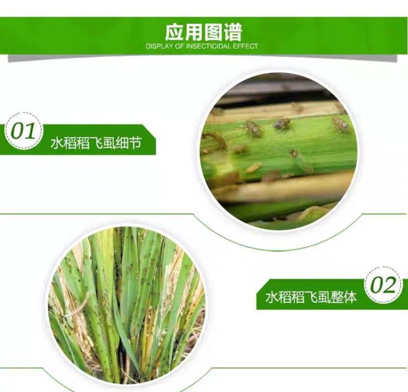 华星效卫10%吡虫啉10克稻飞虱蚜虫杀虫剂正品包邮
