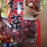红菇靓红菇标准菇月子菇特级红菇