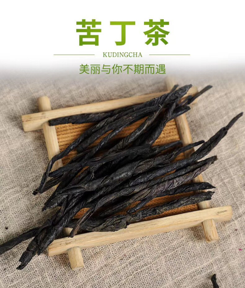 苦丁茶大叶苦丁苦丁条长条苦丁茶祛火茶