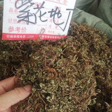 包邮紫花地丁，货物干净漂亮，产地直销，现货供应