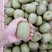 红心猕猴桃商品果，电商果，高次果大量批发代办，诚信第一