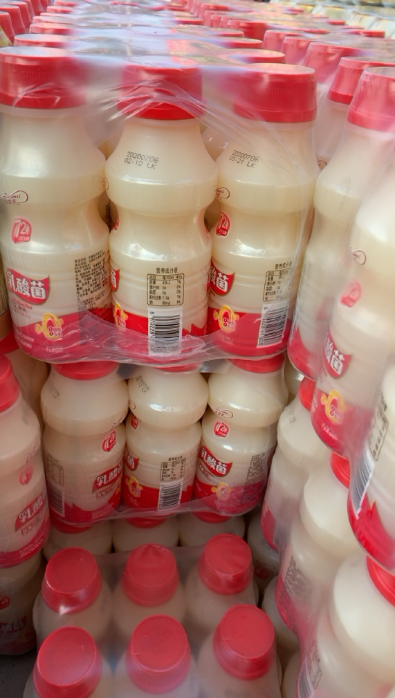 批发乳酸菌奶，营养丰富